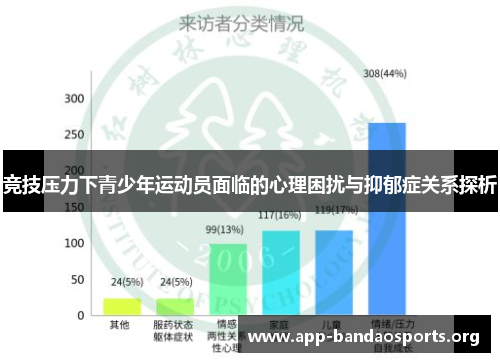 竞技压力下青少年运动员面临的心理困扰与抑郁症关系探析