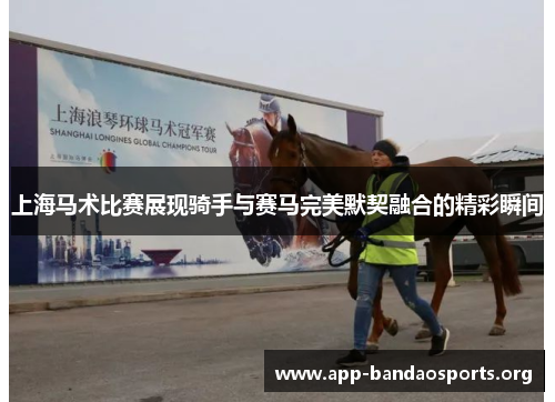 上海马术比赛展现骑手与赛马完美默契融合的精彩瞬间