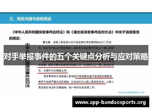 对手举报事件的五个关键点分析与应对策略