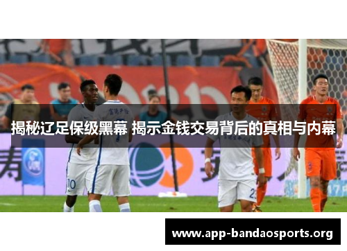 揭秘辽足保级黑幕 揭示金钱交易背后的真相与内幕