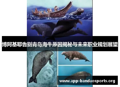 博阿基耶告别青岛海牛原因揭秘与未来职业规划展望