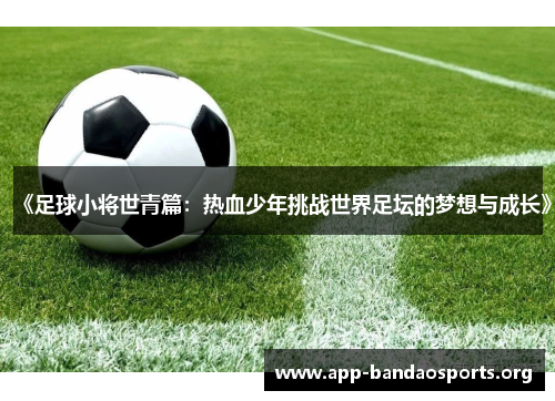 《足球小将世青篇：热血少年挑战世界足坛的梦想与成长》