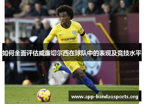 如何全面评估威廉切尔西在球队中的表现及竞技水平