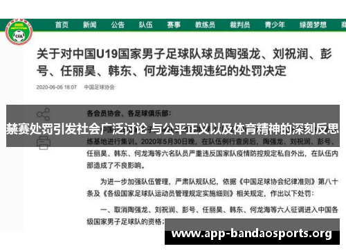 禁赛处罚引发社会广泛讨论 与公平正义以及体育精神的深刻反思