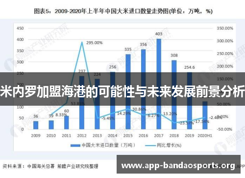 米内罗加盟海港的可能性与未来发展前景分析