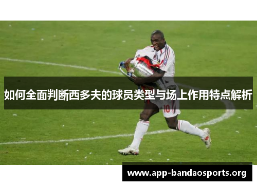 如何全面判断西多夫的球员类型与场上作用特点解析