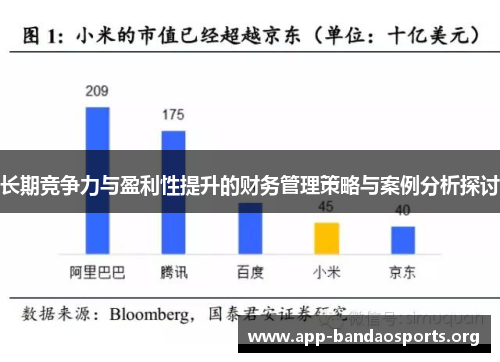 长期竞争力与盈利性提升的财务管理策略与案例分析探讨 长期竞争力与盈利性提升的财务管理策略与案例分析探讨