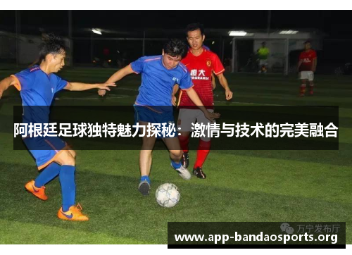 阿根廷足球独特魅力探秘：激情与技术的完美融合