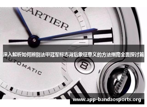 深入解析如何辨别法甲冠军标志背后象征意义的方法指南全面探讨篇