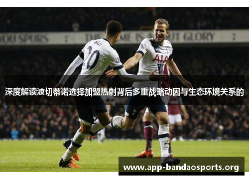 深度解读波切蒂诺选择加盟热刺背后多重战略动因与生态环境关系的