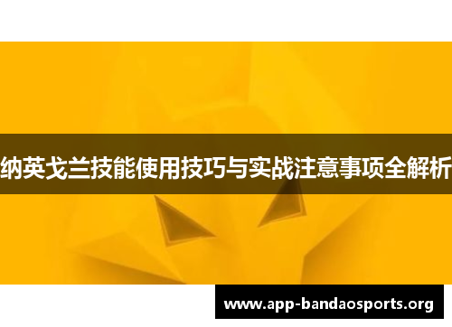 纳英戈兰技能使用技巧与实战注意事项全解析 纳英戈兰技能使用技巧与实战注意事项全解析